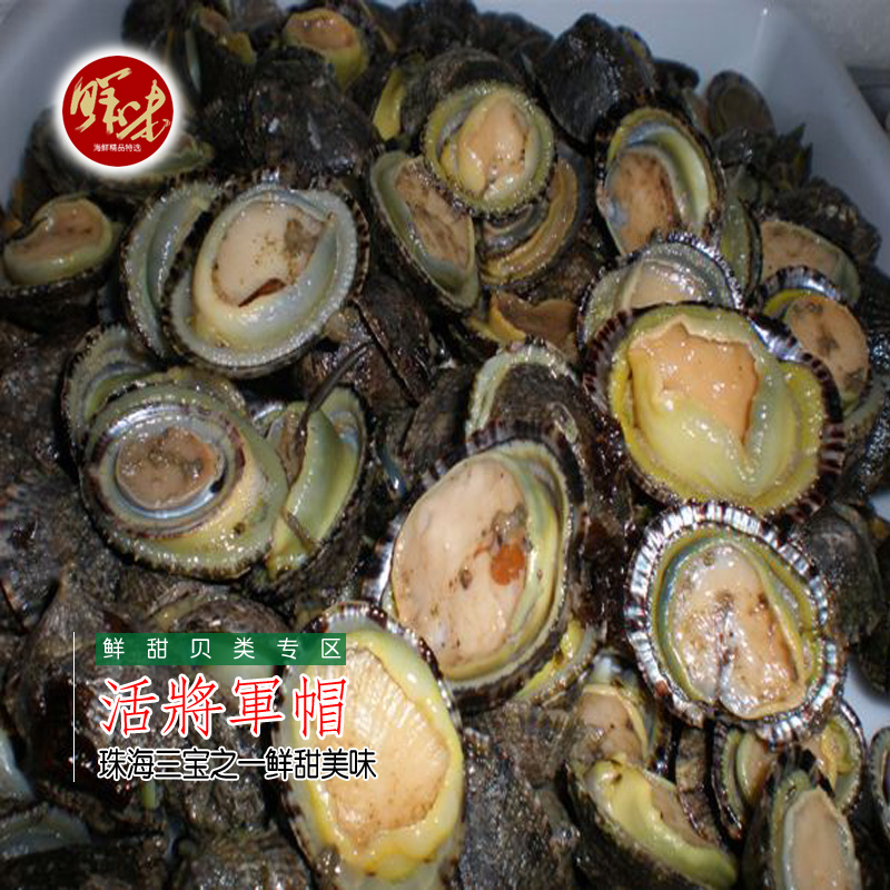 胜过鲍鱼\将军帽螺\海产品\鲜活海鲜\珠海外伶仃岛特产|msdalam kategori daging perikanan/Buah-buahan segar dan sayur-sayuran/dimasak, makanan laut/produk akuatik/produk, kerang, produk kerang - dari Buy2taobao.com untuk memberikan perkhidmatan ejen Taobao profesional membeli