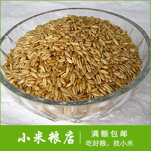  农家自产 沂蒙山优质燕麦米 燕麦仁 野麦 雀麦 杂粮 500g