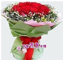 �ɶ��ʻ��ٵ� �ɶ����� ��ɽ���� �������� �������� �ڽ�����