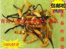 冬虫夏草 西藏冬虫夏草虫草断草 原价36 满10克包邮送枸杞