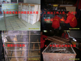 taobao english 13913647691