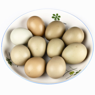  杭溪 野鸡蛋 新鲜七彩山鸡蛋 喂宝宝 孕妇 纯野山鸡蛋散养