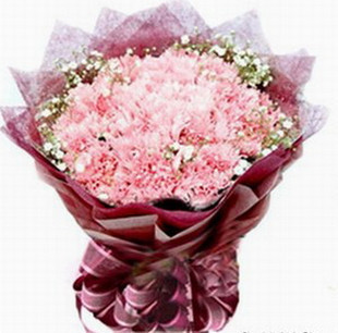 大爱 延吉市生日母亲接二连三节三八妇女节粉色康乃馨鲜花花束在类目 鲜花速递/花卉仿真/绿植园艺, 鲜花速递(同城)中 - 来自Buy2taobao.com提供专业的淘宝代购服务