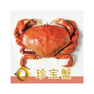  【当日鲜】【新鲜速冻】精选-满肉生冻珍宝蟹 海鲜螃蟹