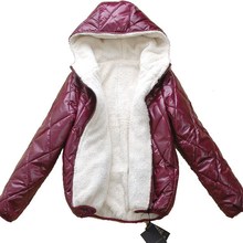 <span class=H>亮面</span>羊羔绒小棉服 加厚外套短款棉衣棉袄秋冬装女装2011新款7166