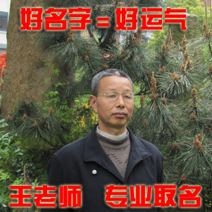 求双胞胎女孩名字(培腹产日期2011年8月1日)–