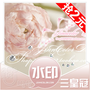 晶颜设计★三皇冠店铺装修模板博客图片水印制作|秒杀特价|139款