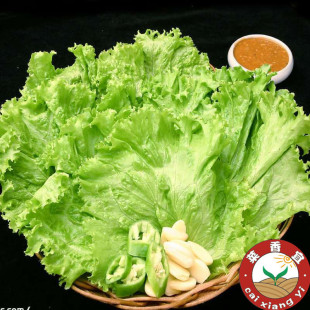  新鲜蔬菜农场直供 有机生菜 生鲜沙拉 今日特价秒杀