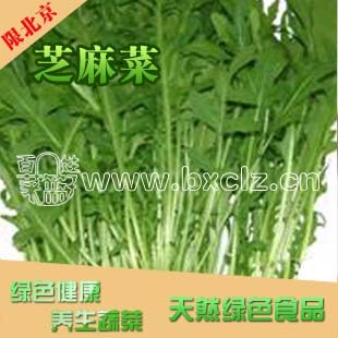  菜篮子网上买菜 蔬菜沙拉Salad沙拉酱生菜 新鲜 西班牙 芝麻菜