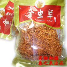 特级孢子头金虫草 虫草花 北冬虫夏草 250g/包 包邮