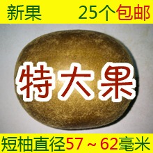 罗汉果 特大果 广西 桂林永福 罗汉果茶 咽炎 新鲜新果 25个包邮