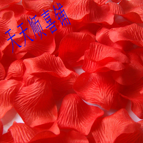 婚庆用品 高档绢布仿真玫瑰花瓣 浪漫撒花手抛花婚庆花在类目 节庆用品/礼品, 婚庆布景/道具, 花瓣/仿真花瓣中 - 来自Buy2taobao.com提供专业的淘宝代购服务