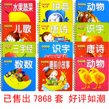 婴幼儿宝宝学习口袋卡/0-3岁识字册 启蒙大卡片认知书 全12册