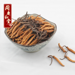 同庆和堂 正品包邮青海玉树冬虫夏草 9-10根/克新虫草同仁堂级别