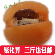 产地新鲜水果热销四川特产龙泉天然现摘大五星枇杷3斤包邮