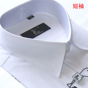 白色短袖衬衫法国啄木鸟短袖衬衫男商务正装棉质免烫簿款衬衣