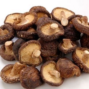  特等东北野生香菇干食品 香菇蘑 100克肉厚鲜香干货特产 5元包邮