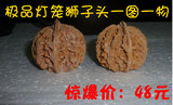 taobao english 13967278483