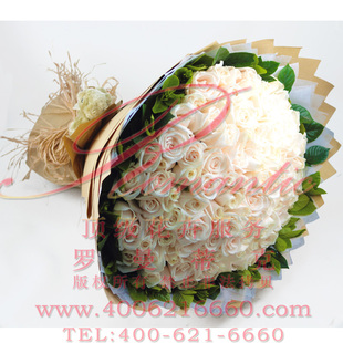 原创花店北京鲜花速递/HK04白雪/66特白玫瑰/让人羡慕死的花束！