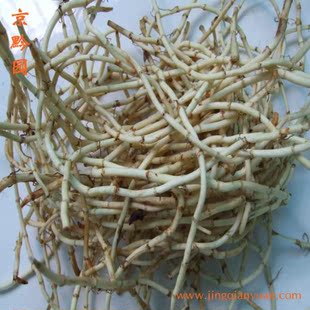  【京黔园】绿色食品新鲜蔬菜 折耳根 鱼腥草 北京买菜送到家