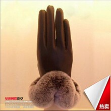 已售出:16