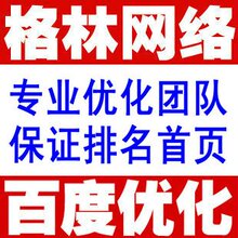 百度优化排名首页,网站优化推广,关键词seo优化,网络营销服务