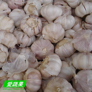 【爱蔬果】绿色食品新鲜蔬菜 大蒜 北京配送