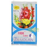 国货正品特价 紫罗兰沉香粉50g 控油定妆修容散粉 遮瑕蜜粉(m60g)