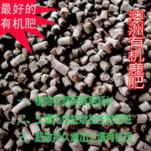 澳洲有机鹿肥 家庭菜园有机肥 肥效持久防虫防潮 增加活性 200g