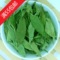 上下架计划:满55包邮 花草茶 甜菊叶茶 特级甜菊叶 天然甜叶菊 50克