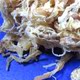 【淘哥食品】：特级专供出口鱿鱼丝味道极好！大块有嚼头
