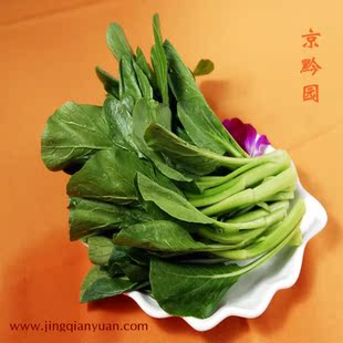  【京黔园】绿色食品新鲜蔬菜 菜心 菜薹 北京买菜当天送到家