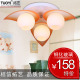 【拓艺】现代简约 吸顶灯 客厅灯 卧室灯 餐厅灯 灯具 灯饰 81383