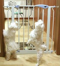 正品BABY SAFE儿童安全门栏/护栏围栏狗栅栏/楼梯防护栏 广东直销