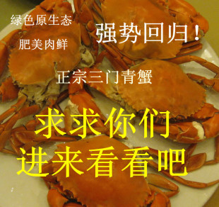  三门青蟹 海鲜鲜活螃蟹 单只4-10两 2件起发 预防h7n9 公母混搭