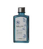 韩国正品The Face Shop纯净男士乳液150ml 清新草本精华