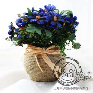  韩式美人菊麻绳整体花艺小盆栽