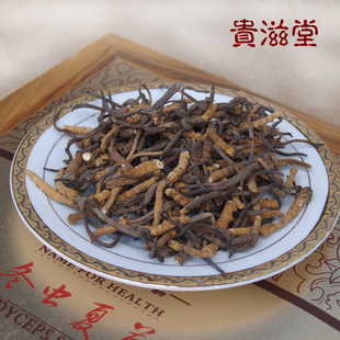  贵滋堂 西藏那曲冬虫夏草断草大条 免费破壁打粉
