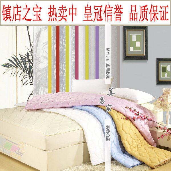 镇店之宝 席梦思保护垫 床笠式夹棉席梦思保护套 床护垫/买二送一