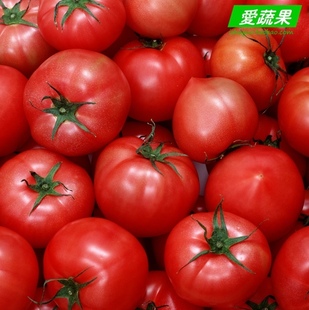  【爱蔬果】绿色食品新鲜蔬菜 西红柿/番茄 北京配送 一斤约3个