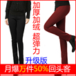 特价包邮 新款春装 显瘦弹力紧身铅笔裤 打底裤 大码女装裤子