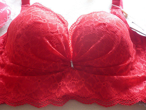 <em>贵夫人 文胸</em> 正品b_jinque173_新浪博客