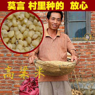  高粱米 山东特产粗粮红高粱电影 农家自种无公害杂粮 10斤包邮