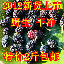 新疆特级黑桑葚干 黑桑椹子 桑果干 补血补肾 500克 特价2斤包邮