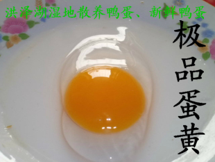  【洪泽湖湿地直销】新鲜鸭蛋、土鸭蛋、草鸭蛋、【月供8000枚】