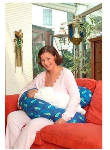 Double pro Easy pillow pregnant woman Lateral pillows Breastfeeding Pillow pillow case Instructionsin the Maternity/Maternal supplies/Nutrition , Prenatal and postnatal mother supplies , Breastfeeding Pillow category - from Buy2taobao.com to provide professional Taobao agent buy service