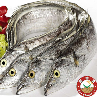 新鲜海鲜东海特级带鱼,鲜活水产催奶,1斤1条 今