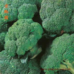  【京黔园】绿色食品优质蔬菜 西兰花 北京买菜当天送到家