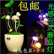 �޻�����ʱ�����������ﴴ����Ʒ��Ů��������diy����Ů��������