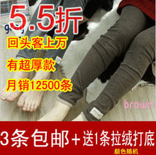 秒杀送礼 韩版小猫咪图案 打底裤 女春装2012九分裤 棉加绒九分